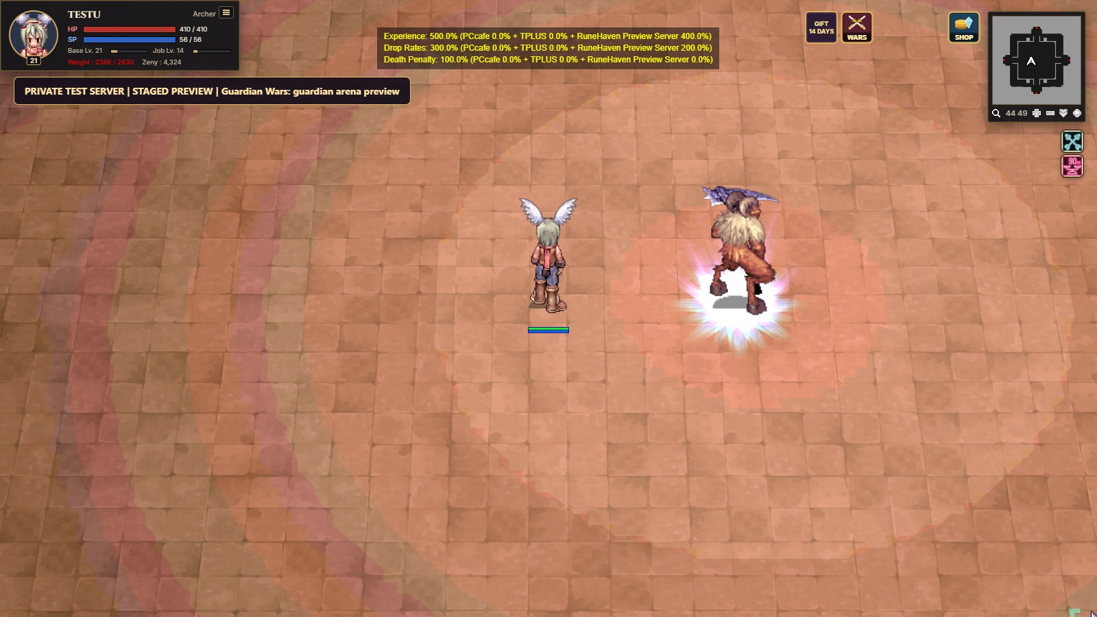 Guardian Wars guardian arena on a private test server